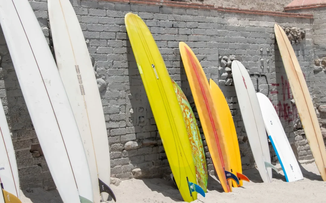 Surfboard Evolution, Crafting and Selection Simplified