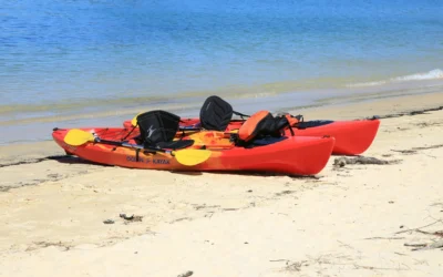 Kayak Rental Benefits for Wellness and Barnegat Bay Adventures