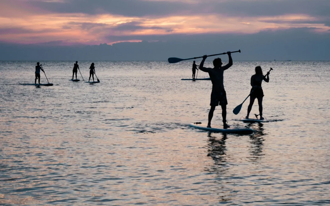Paddle Board Rental Made Easy Your Guide to Affordable Adventures