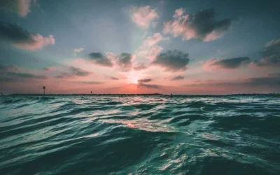 Learn to Surf with Proper Expectations