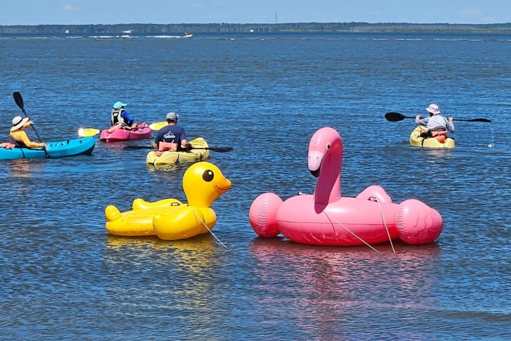 a small boat in a body of water