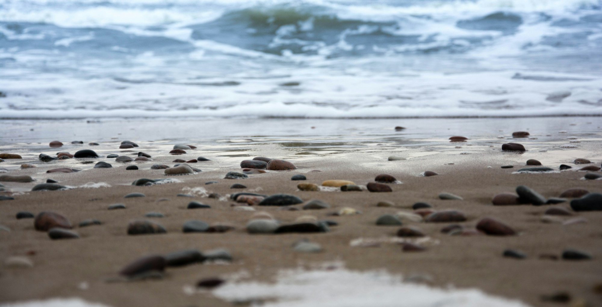 image-asset a flock of birds standing on top of a sandy beach
